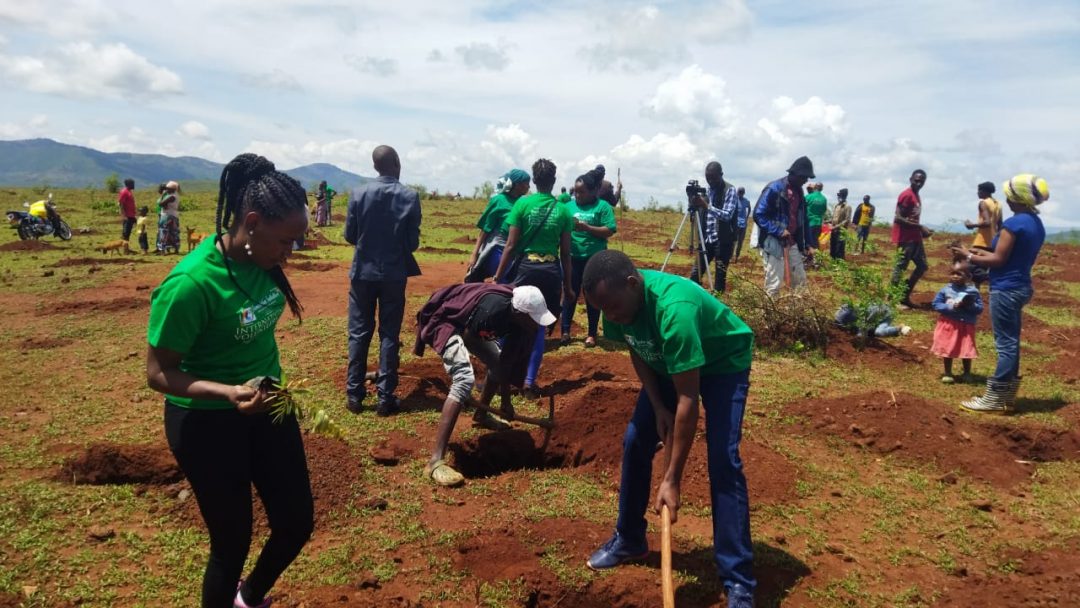 Emali – Kwa Kamba Community Hill Restoration