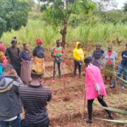 Agribusiness Training – Youth Resiliency Project