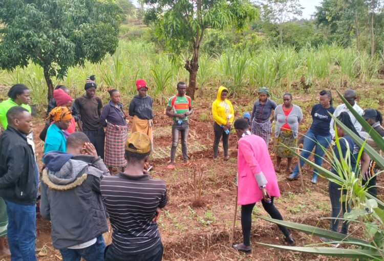 Agribusiness Training - Youth Resiliency Project